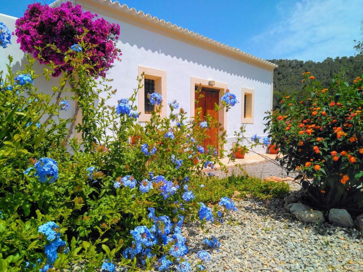 Can Pep Pardal Sant Miquel De Balansat ภายนอก รูปภาพ