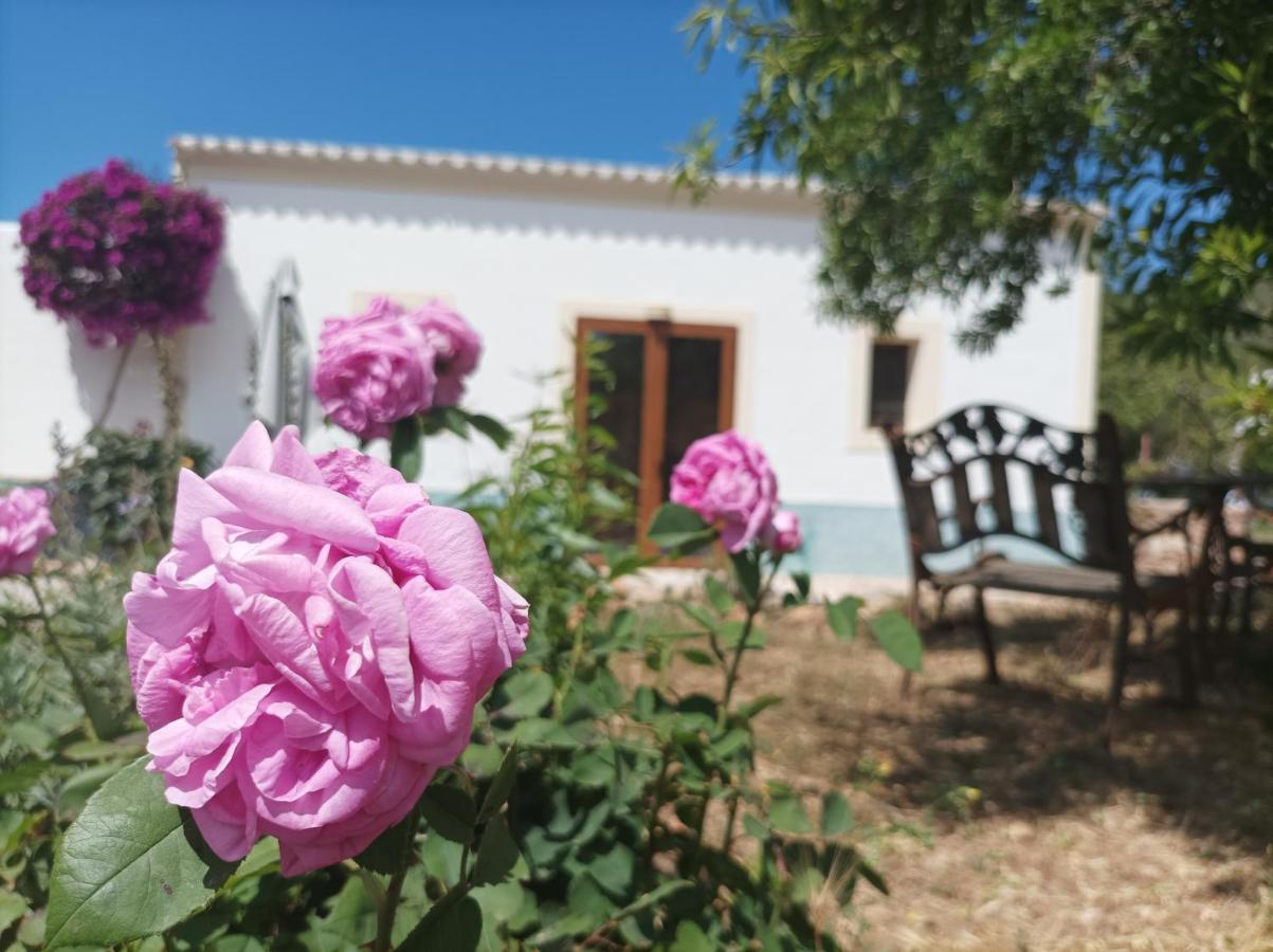 Can Pep Pardal Sant Miquel De Balansat ภายนอก รูปภาพ