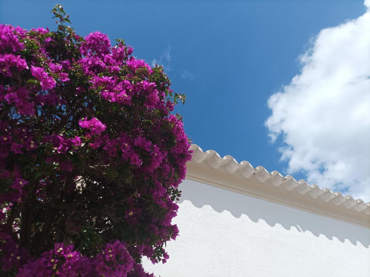 Can Pep Pardal Sant Miquel De Balansat ภายนอก รูปภาพ