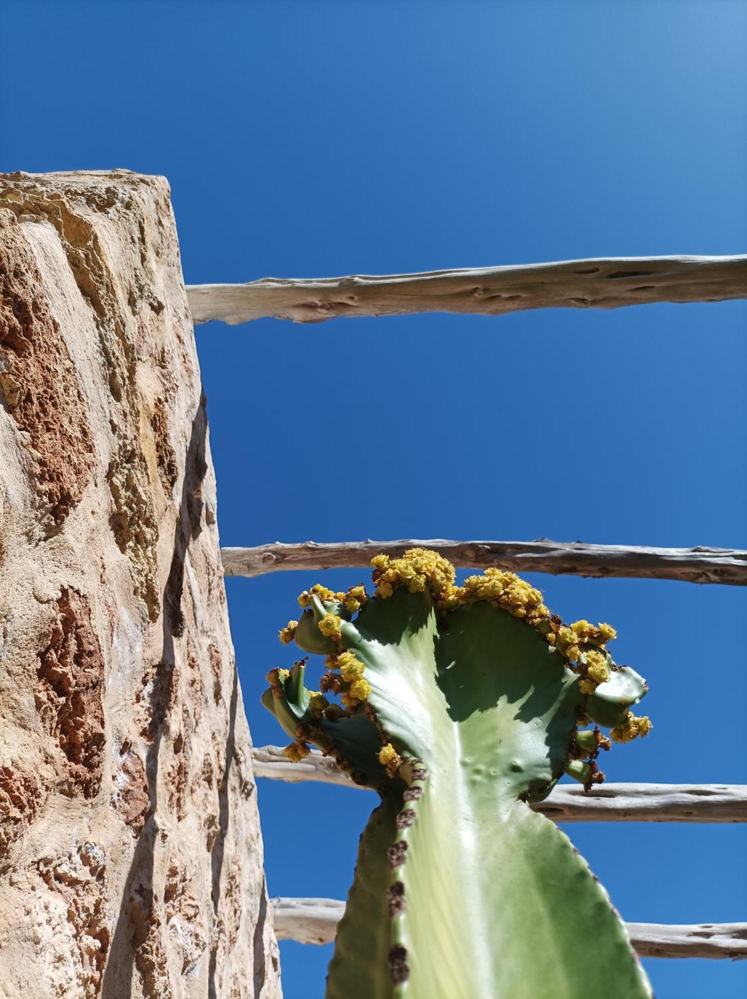 Can Pep Pardal Sant Miquel De Balansat ภายนอก รูปภาพ