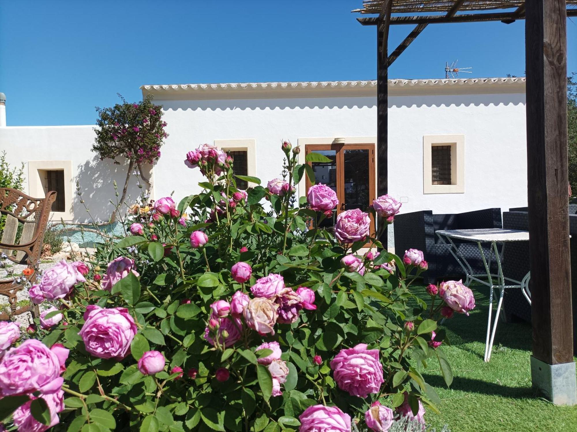 Can Pep Pardal Sant Miquel De Balansat ภายนอก รูปภาพ